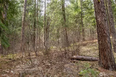 1 Chumstick Highway, Leavenworth, WA 98826 - Photo 9