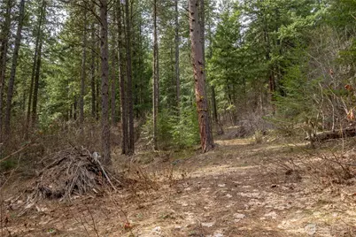 1 Chumstick Highway, Leavenworth, WA 98826 - Photo 5