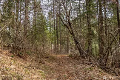 1 Chumstick Highway, Leavenworth, WA 98826 - Photo 11