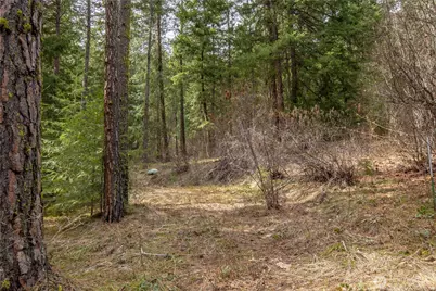 1 Chumstick Highway, Leavenworth, WA 98826 - Photo 7