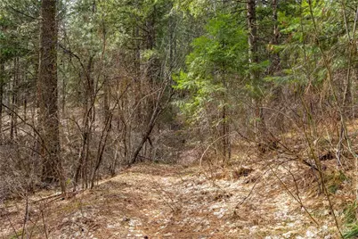 1 Chumstick Highway, Leavenworth, WA 98826 - Photo 1