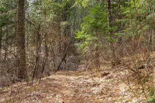 1 Chumstick Hwy, Leavenworth, WA 98826 - Photo 1