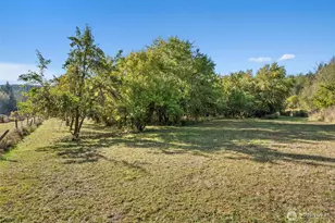 259 10 Tooley Rd, Toledo, WA 98591 - Photo 29