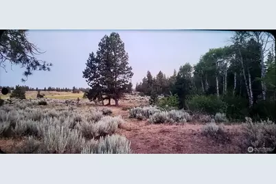 0 S Harrison Road W, Spokane, WA 99226 - Photo 3