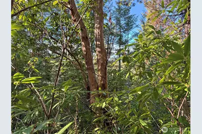 300 S Hillcrest Place, Friday Harbor, WA 98250 - Photo 19