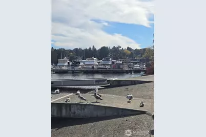 9050 Seward Park Ave #146, Seattle, WA 98118 - Photo 3