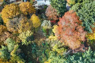 12117 SE 26th St, Bellevue, WA 98005 - Photo 3