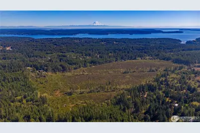 0 X 154th Avenue NW, Gig Harbor, WA 98329 - Photo 9