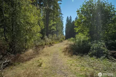 0 X 154th Avenue NW, Gig Harbor, WA 98329 - Photo 7