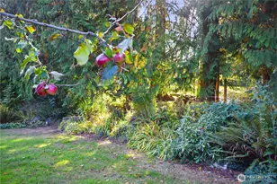 4294 Siana Pl SE, Port Orchard, WA 98366 - Photo 7