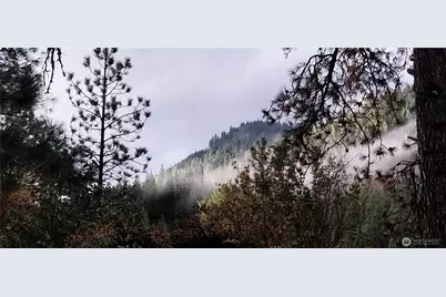 11685 Sunitsch Canyon Rd, Leavenworth, WA 98826 - Photo 9