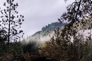 11685 Sunitsch Canyon Rd, Leavenworth, WA 98826 - Photo 9