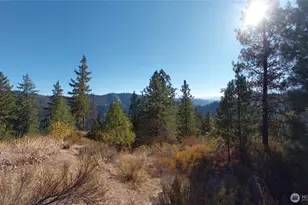 11685 Sunitsch Canyon Rd, Leavenworth, WA 98826 - Photo 3