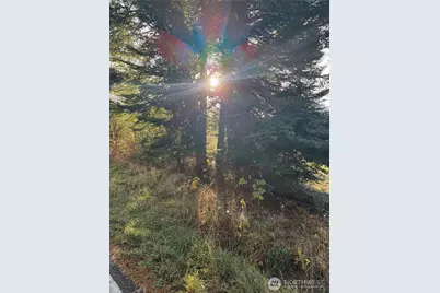 1454 Admirals Drive, Coupeville, WA 98239 - Photo 15