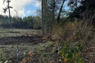 1454 Admirals Dr, Coupeville, WA 98239 - Photo 1