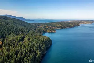 3093 Mt Vista Dr, Lummi Island, WA 98262 - Photo 39