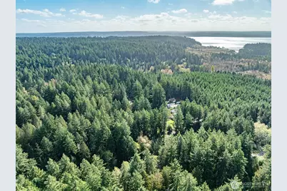 10602 Vantage Drive, Anderson Island, WA 98303 - Photo 5