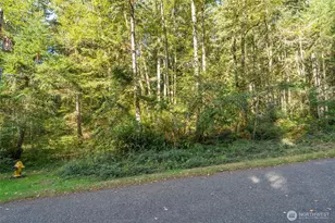 10602 Vantage Dr, Anderson Island, WA 98303 - Photo 1