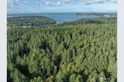 10602 Vantage Drive, Anderson Island, WA 98303 - Photo 3