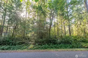 11316 Breaker Way, Anderson Island, WA 98303 - Photo 1