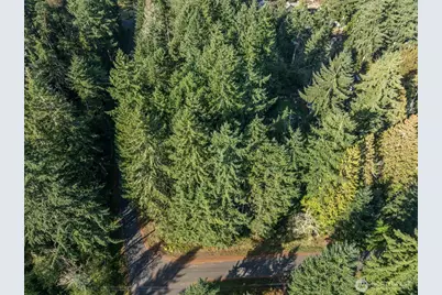 10102 104th Avenue, Anderson Island, WA 98303 - Photo 1
