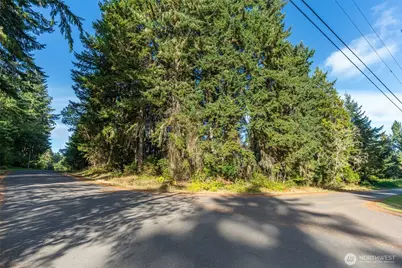 10102 104th Avenue, Anderson Island, WA 98303 - Photo 3