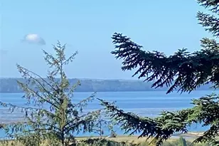 115 Beacon Hill Dr, Hoquiam, WA 98550 - Photo 5