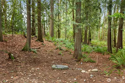 1215 293rd Avenue NE, Carnation, WA 98014 - Photo 39