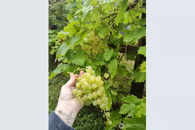 208 W Galena Street, Granite Falls, WA 98252 - Photo 39