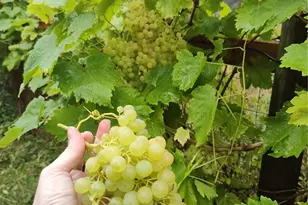 208 W Galena St, Granite Falls, WA 98252 - Photo 39