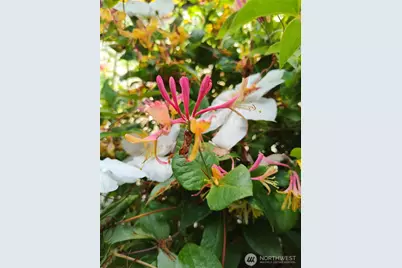 208 W Galena Street, Granite Falls, WA 98252 - Photo 37