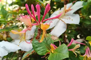 208 W Galena St, Granite Falls, WA 98252 - Photo 37