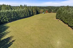 299 Conrad Rd, Winlock, WA 98596 - Photo 37