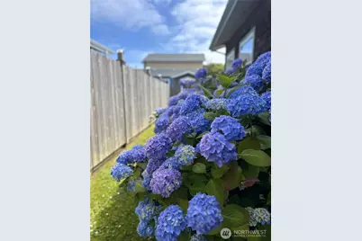 45 Central Avenue, Pacific Beach, WA 98571 - Photo 23