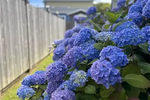 45 Central Ave, Pacific Beach, WA 98571 - Photo 23