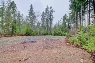 8583 Trillium Ln, Concrete, WA 98237 - Photo 23