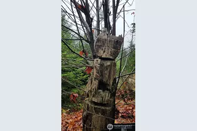 1140 1180 W California Road, Shelton, WA 98584 - Photo 5