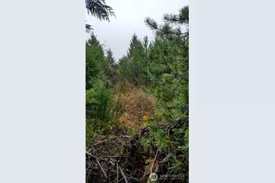1140 1180 W California Road, Shelton, WA 98584 - Photo 3