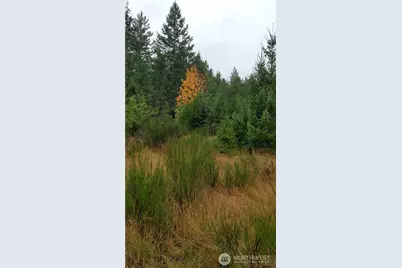 1140 1180 W California Road, Shelton, WA 98584 - Photo 1