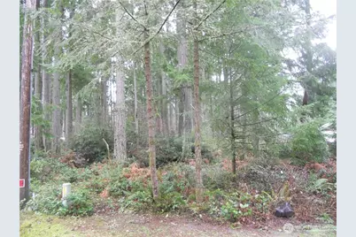 10315 107th Avenue Ct, Anderson Island, WA 98303 - Photo 1