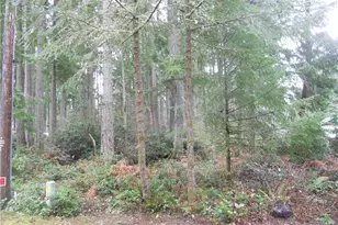 10315 107th Ave Ct, Anderson Island, WA 98303 - Photo 1