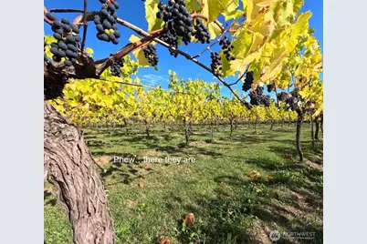 1673 Woodland Drive, Port Townsend, WA 98368 - Photo 7