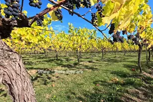 1673 Woodland Dr, Port Townsend, WA 98368 - Photo 7