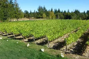 1673 Woodland Dr, Port Townsend, WA 98368 - Photo 5