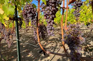 1673 Woodland Dr, Port Townsend, WA 98368 - Photo 33