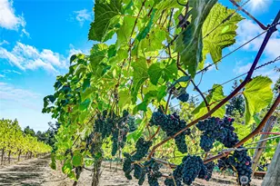 1673 Woodland Dr, Port Townsend, WA 98368 - Photo 35