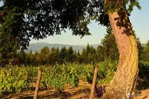 1673 Woodland Dr, Port Townsend, WA 98368 - Photo 5