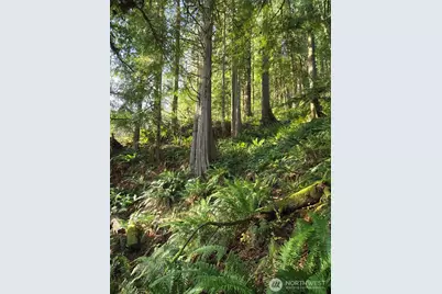 0 Nka Kendrick and Wier Street, South Bend, WA 98586 - Photo 5