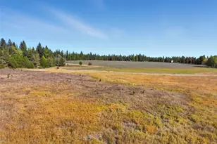 320871 Hwy 2, Newport, WA 99156 - Photo 37