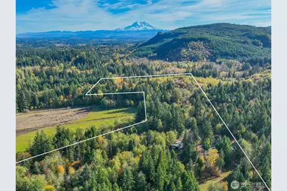 17328 Mulqueen Road SE, Rainier, WA 98576 - Photo 1
